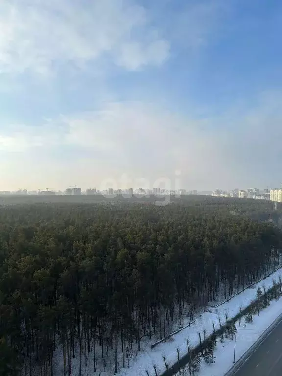 Студия Свердловская область, Екатеринбург ул. Отрадная, 1 (23.1 м) - Фото 1