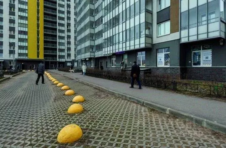 Помещение свободного назначения в Санкт-Петербург просп. Васнецовский, ... - Фото 2