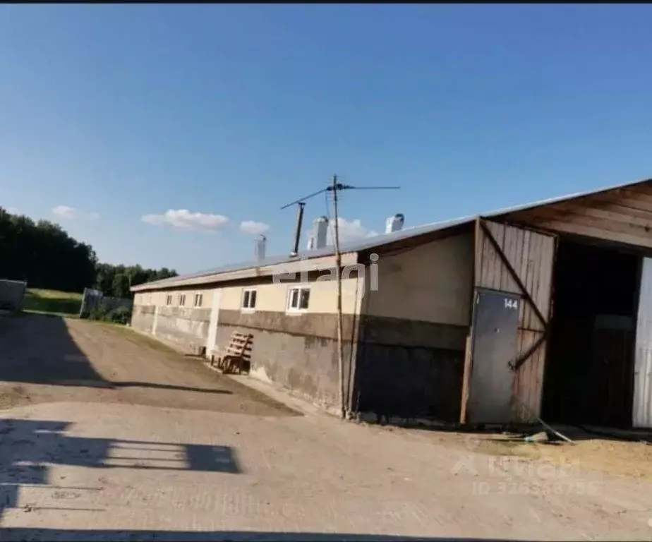 Дом в Красноярский край, Большемуртинско-Сухобузимский муниципальный ... - Фото 1