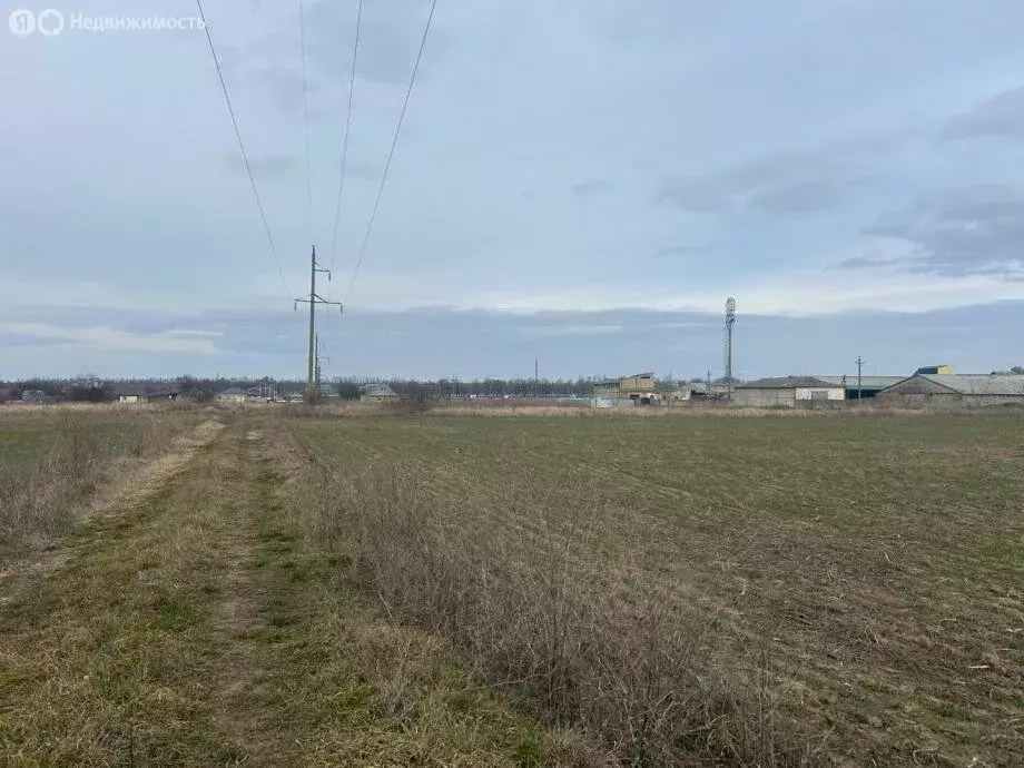 Участок в Темрюкский район, Краснострельское сельское поселение, хутор ... - Фото 2