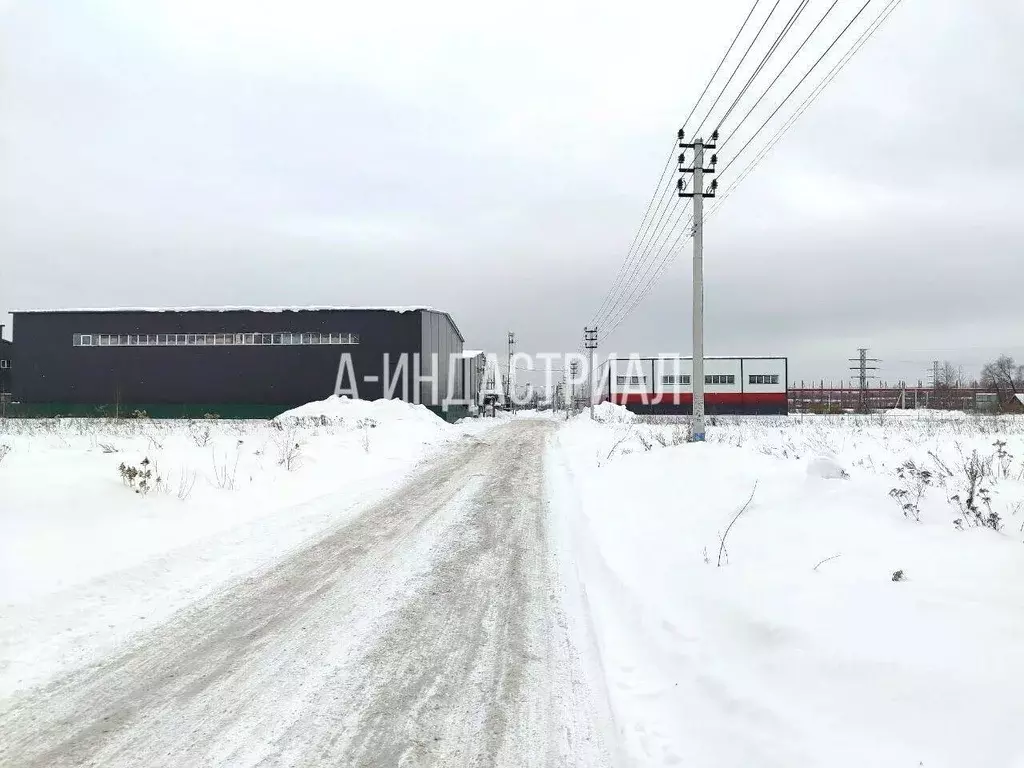 Участок в Московская область, Домодедово городской округ, д. Гальчино ... - Фото 1
