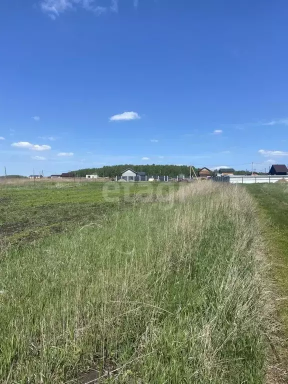 Участок в Красноярский край, Емельяновский район, с. Шуваево  (10.7 ... - Фото 1