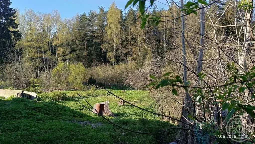 Участок в Ленинградская область, Всеволожский район, Рахьинское ... - Фото 1
