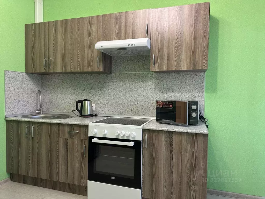 1-к кв. Санкт-Петербург просп. Просвещения, 43 (39.5 м) - Фото 1