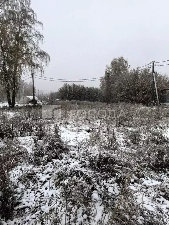 Участок в Новосибирская область, Новосибирский район, Станционный ... - Фото 1