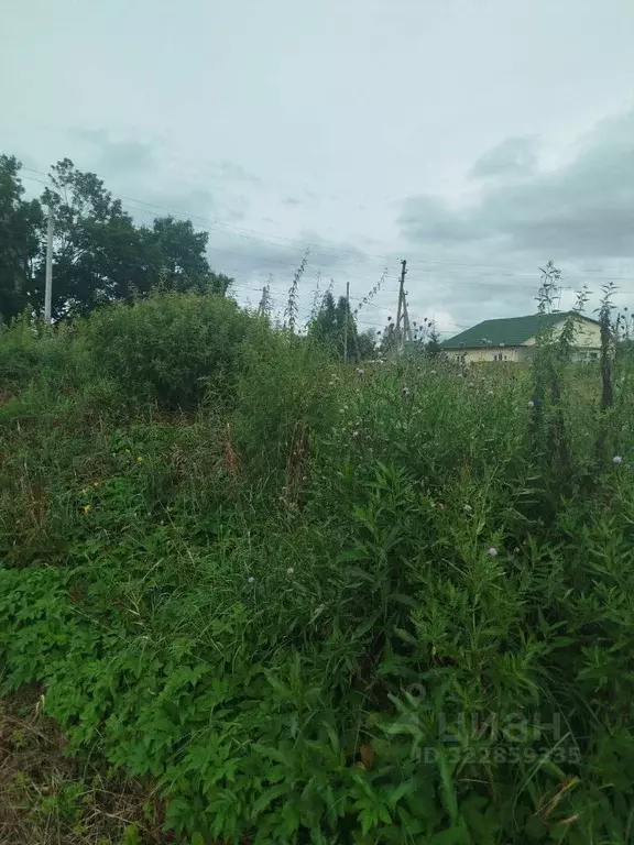 Участок в Московская область, Клин городской округ, д. Щекино  (5.0 ... - Фото 2