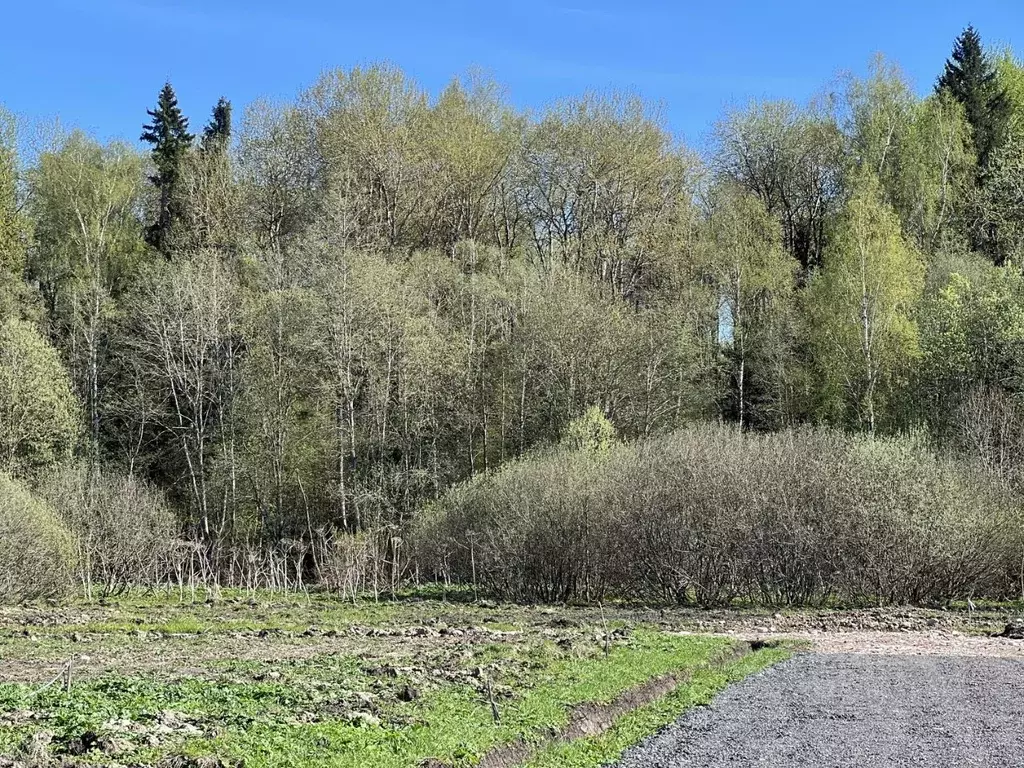 Участок в Московская область, Истра городской округ, д. Загорье, ... - Фото 1