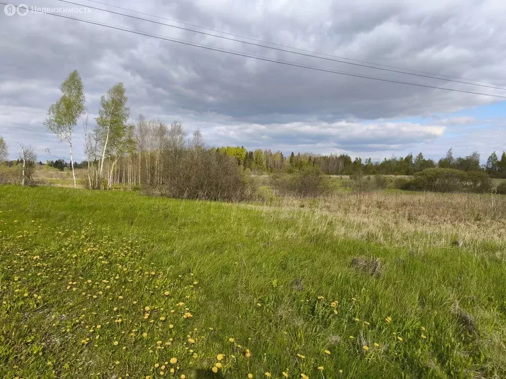 Участок в деревня Гораи, Школьная улица (100 м) - Фото 0