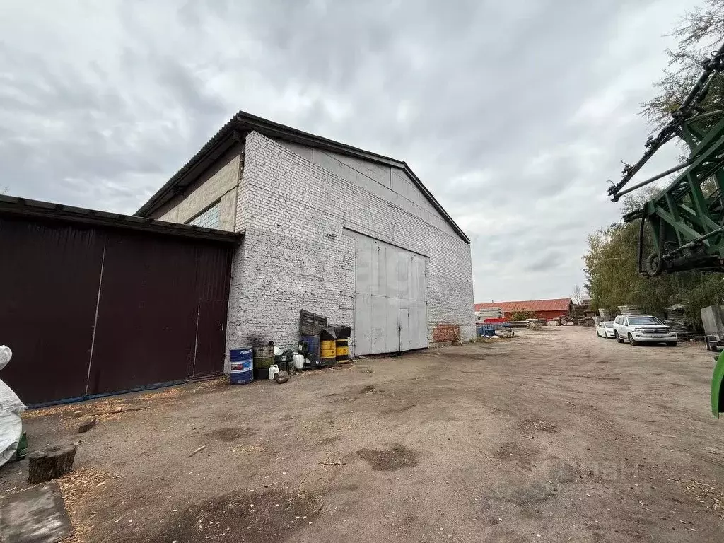 Склад в Воронежская область, Хохольское городское поселение, с. Хохол ... - Фото 1