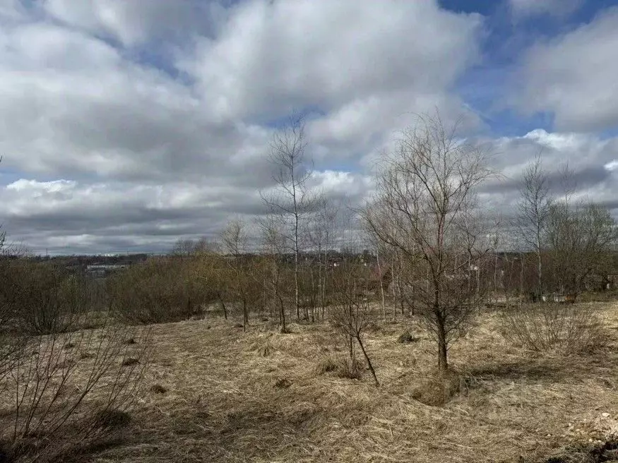 Участок в Московская область, Серпухов городской округ, д. Палихово  ... - Фото 2