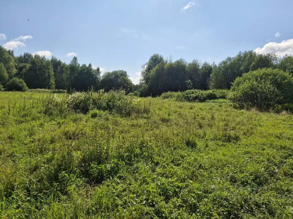 Участок в Московская область, Ступино городской округ, д. Красный ... - Фото 1