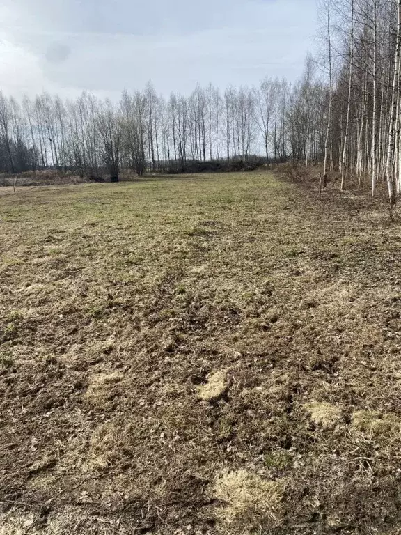 Участок в Нижегородская область, Городецкий муниципальный округ, с. ... - Фото 0