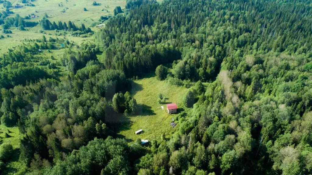 Купить Дом В Чусовских Городках Пермского Края