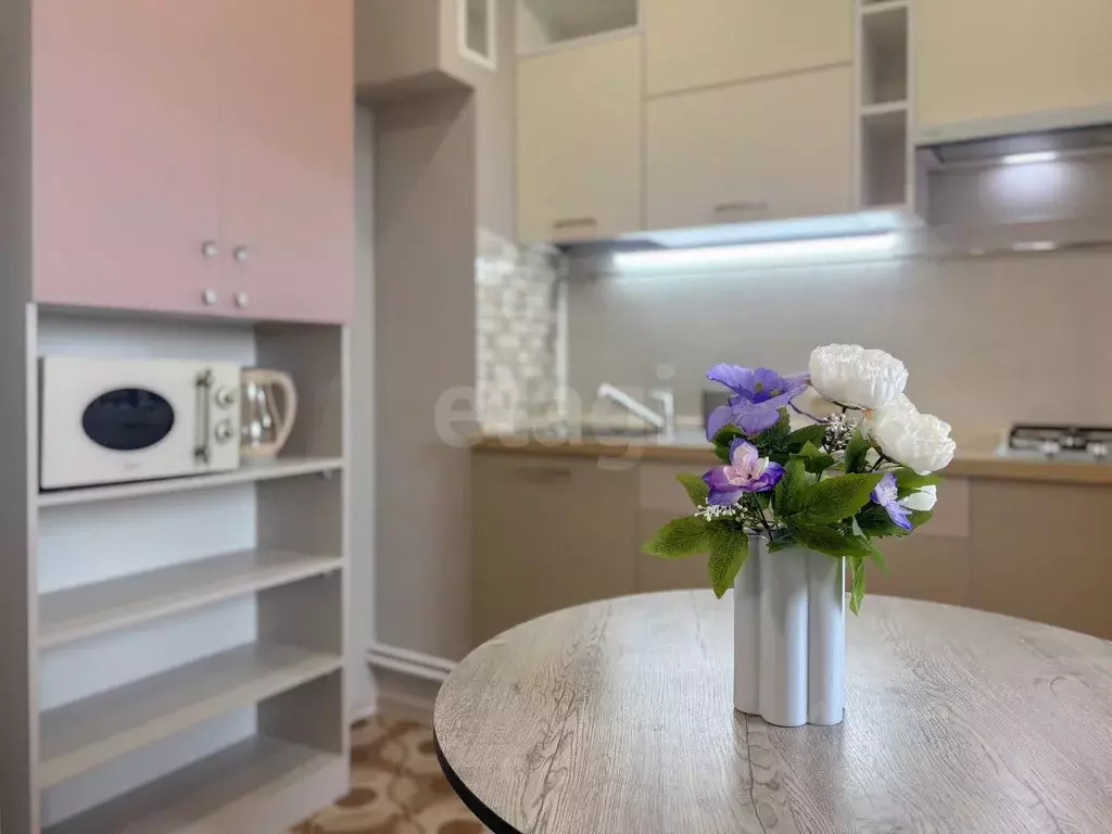 1-к кв. Псковская область, Псковский район, Завеличенская волость, д. ... - Фото 1