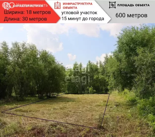 Участок в Амурская область, Благовещенский муниципальный округ, село ... - Фото 1