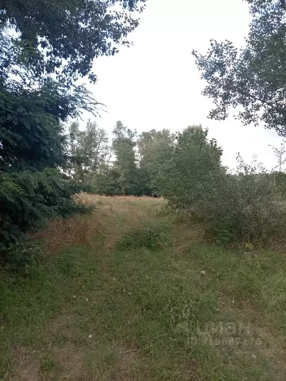 Участок в Карачаево-Черкесия, Черкесск Мрия СНТ,  (6.0 сот.) - Фото 2