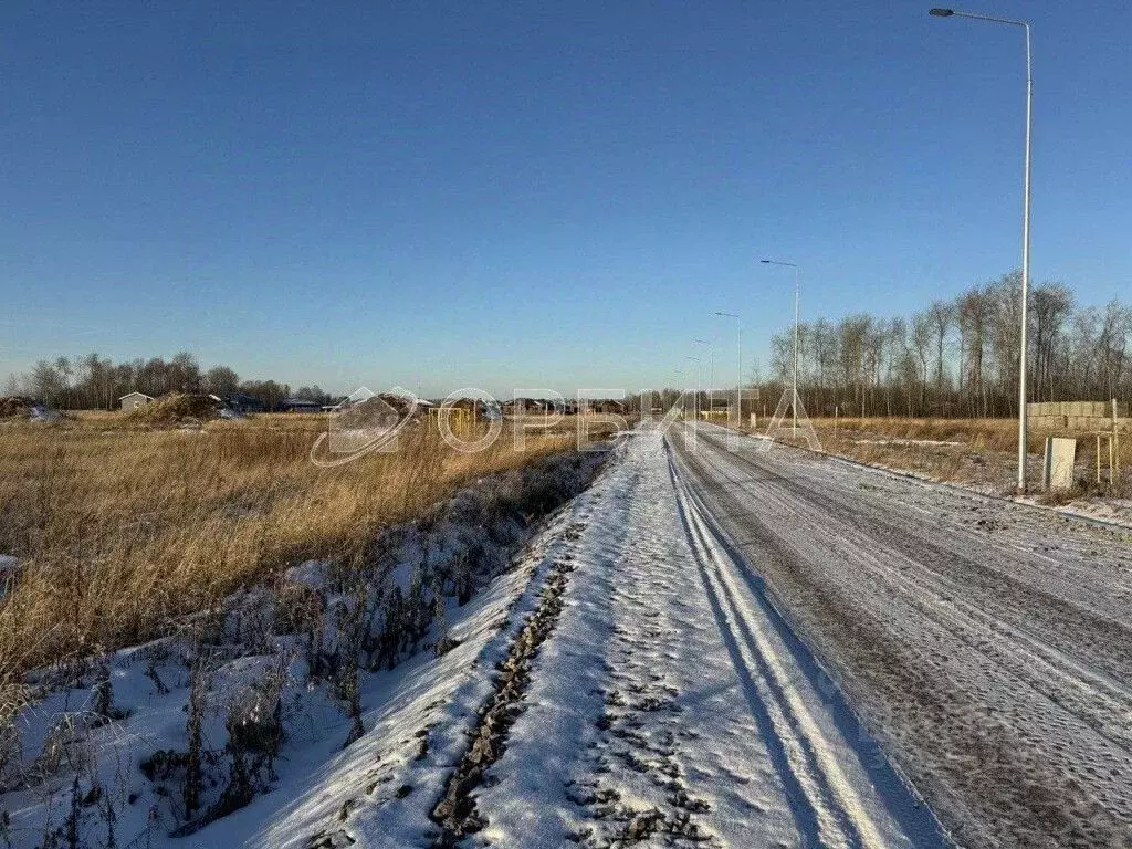 Участок в Тюменская область, Тюменский район, Новокаменский кп  (8.0 ... - Фото 0