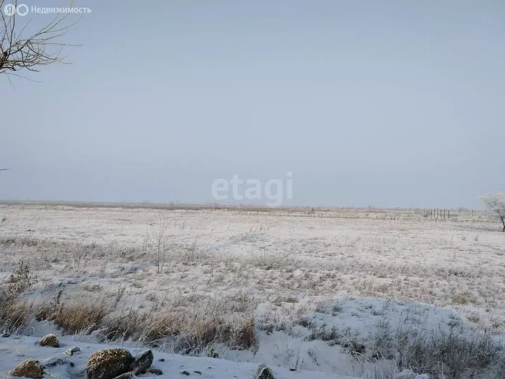 Участок в Алтайский район, село Белый Яр (12 м) - Фото 1