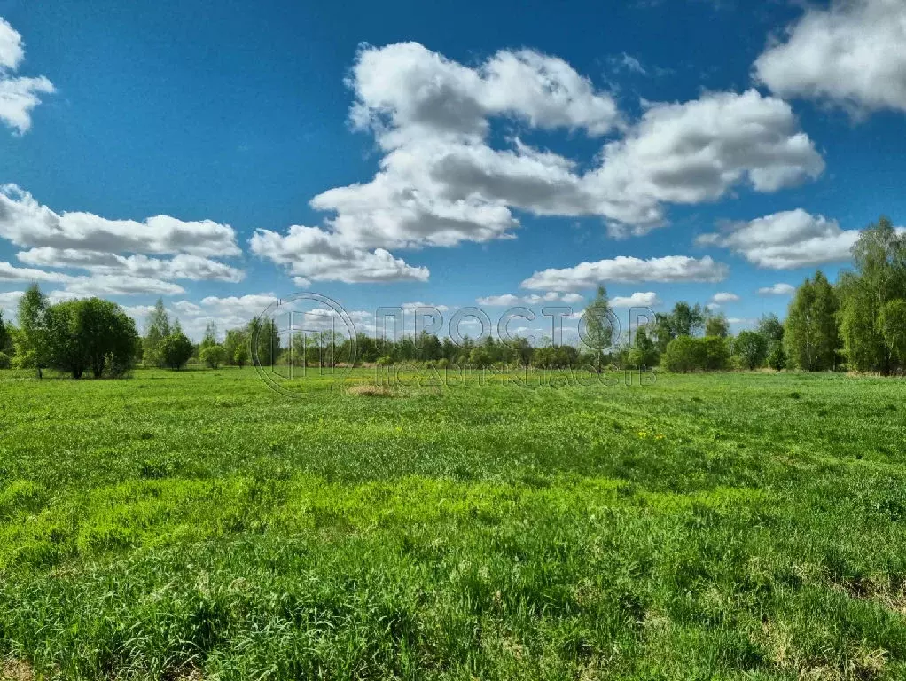 Продается участок в д. Лосино - Фото 1