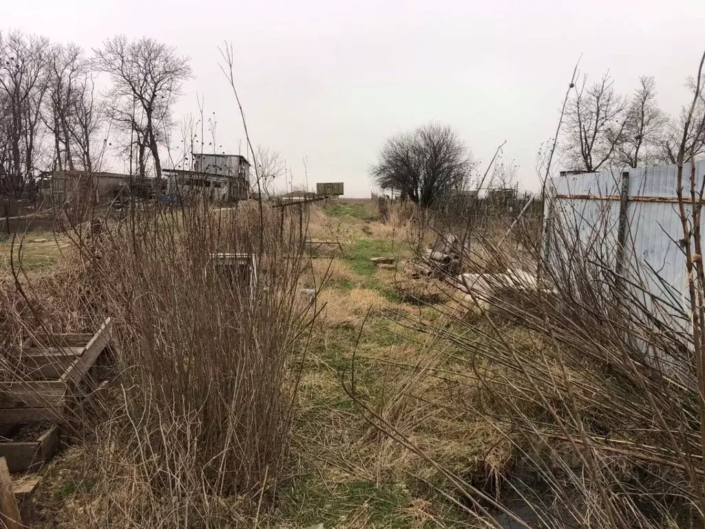 Дом в Краснодарский край, Анапа муниципальный округ, с. Цибанобалка ... - Фото 1