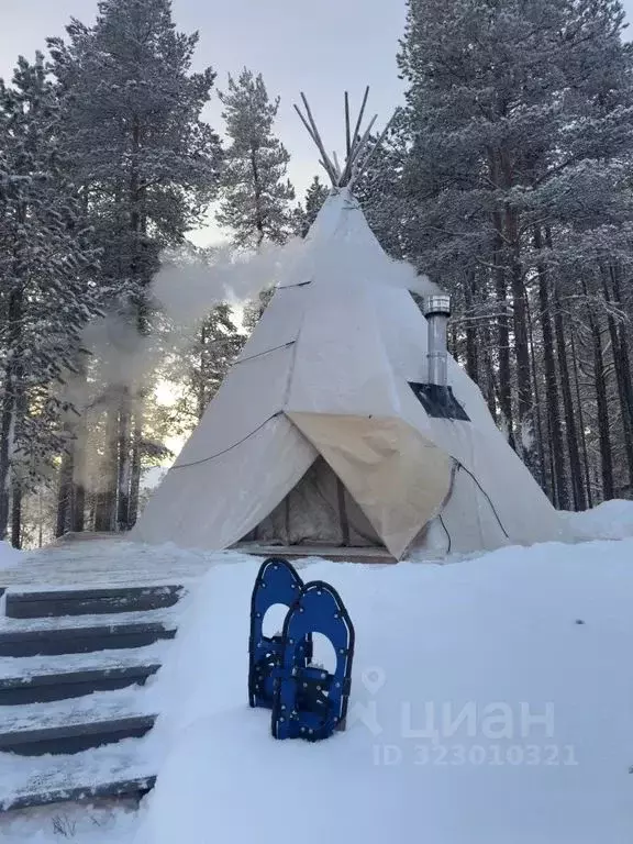 Дом в Мурманская область, Ловозерский район, Ревда городское ... - Фото 2