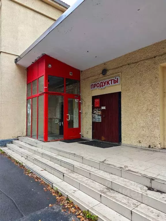 Помещение свободного назначения в Санкт-Петербург ул. Профессора ... - Фото 1