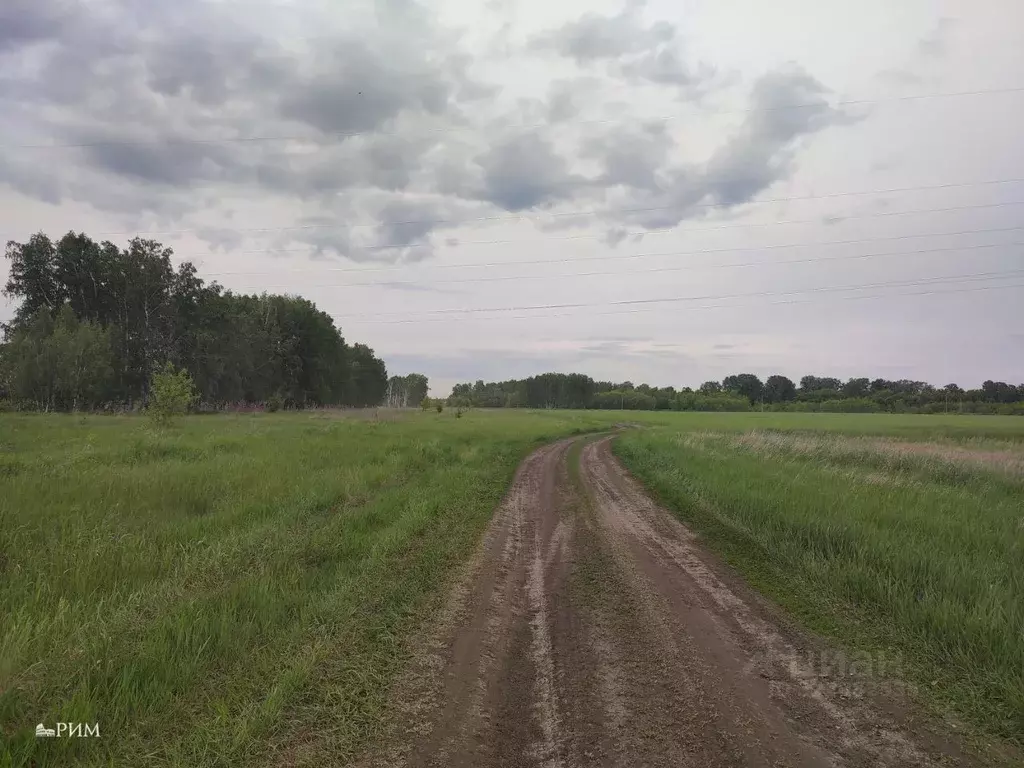 Участок в Липецкая область, Липецкий муниципальный округ, с. Подгорное ... - Фото 2