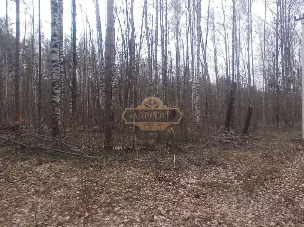 Участок в Ленинградская область, Всеволожский район, Бугровское ... - Фото 1