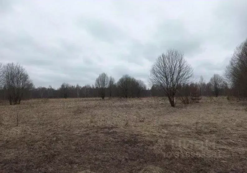 Участок в Московская область, Дмитровский муниципальный округ, д. ... - Фото 1