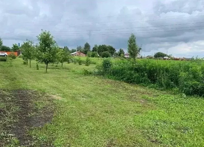 Участок в Тульская область, Киреевский район, Бородинское с/пос, д. ... - Фото 2