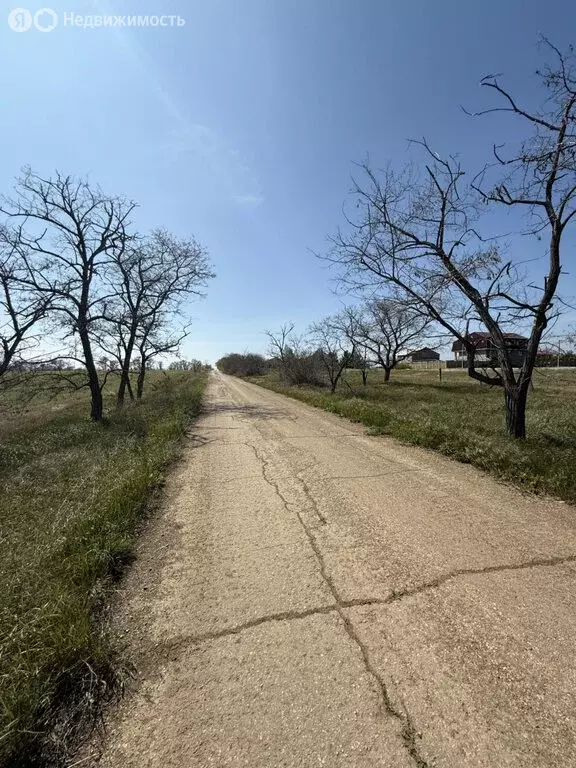 Участок в Симферопольский район, посёлок городского типа Николаевка (6 ... - Фото 2