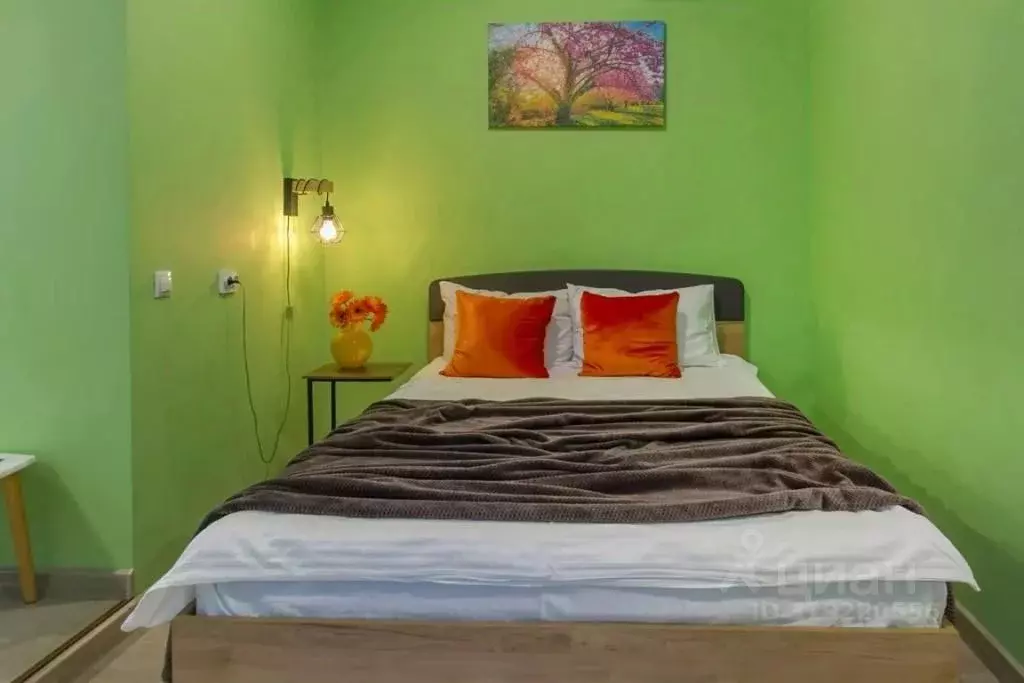 1-к кв. Воронежская область, Воронеж ул. Кирова, 22 (25.0 м) - Фото 2