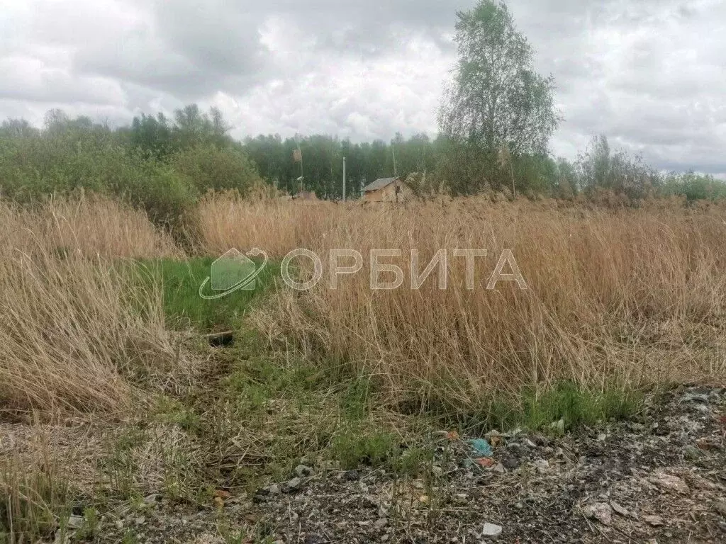 Участок в Тюменская область, Нижнетавдинский район, Мечта ДНТ ул. 6-я ... - Фото 0