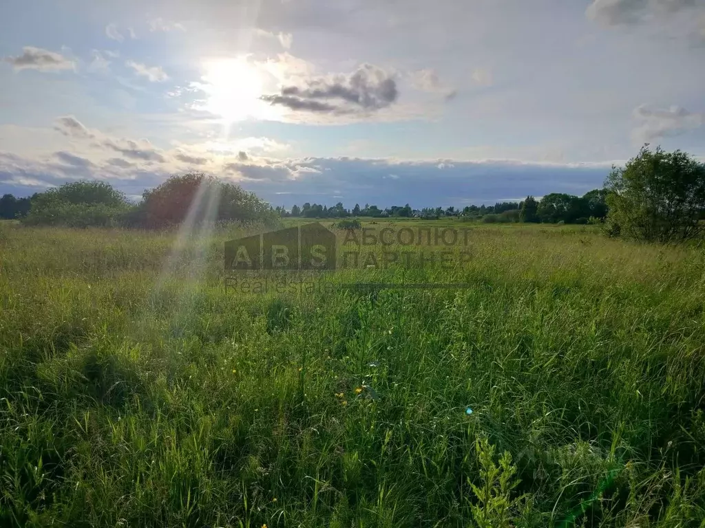 Участок в Новгородская область, Новгородский район, Ракомское с/пос, ... - Фото 2
