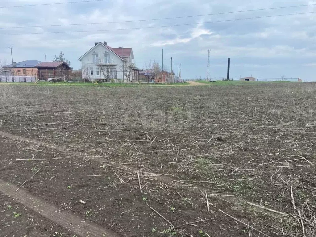 Участок в Ростовская область, Мясниковский район, с. Большие Салы ул. ... - Фото 1