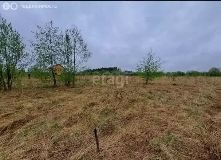 Участок в Архангельская область, Котласский муниципальный округ, ... - Фото 1