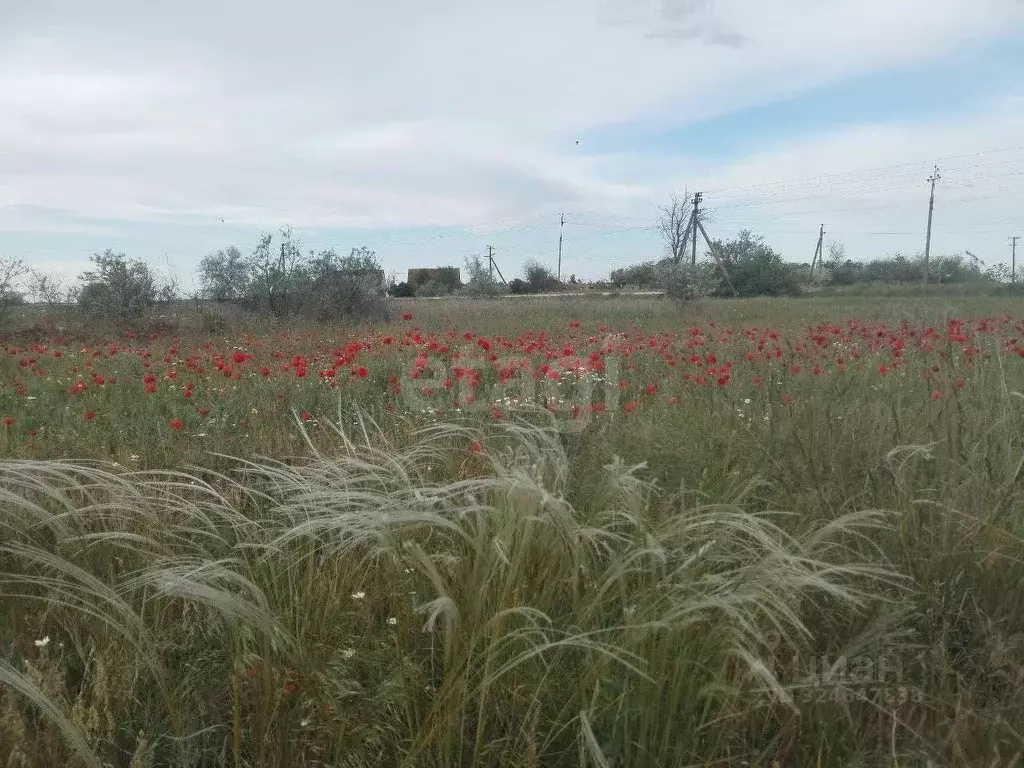 Участок в Крым, Ленинский район, Семисотское с/пос, с. Каменское ул. ... - Фото 1