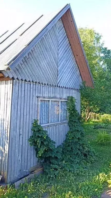Дом в Кировская область, Кирово-Чепецкий район, Пасеговское с/пос, ... - Фото 2