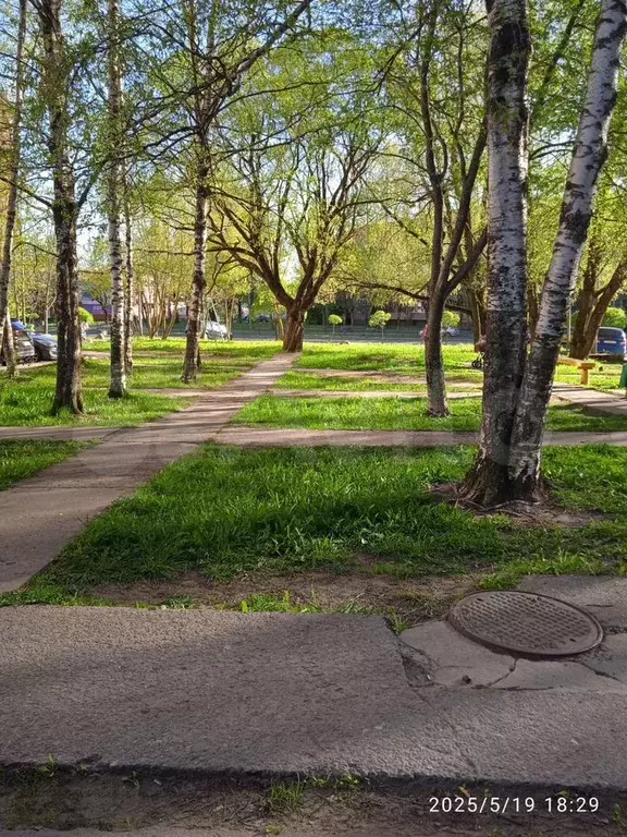 Комната 12 м в 4-к., 5/9 эт. - Фото 0