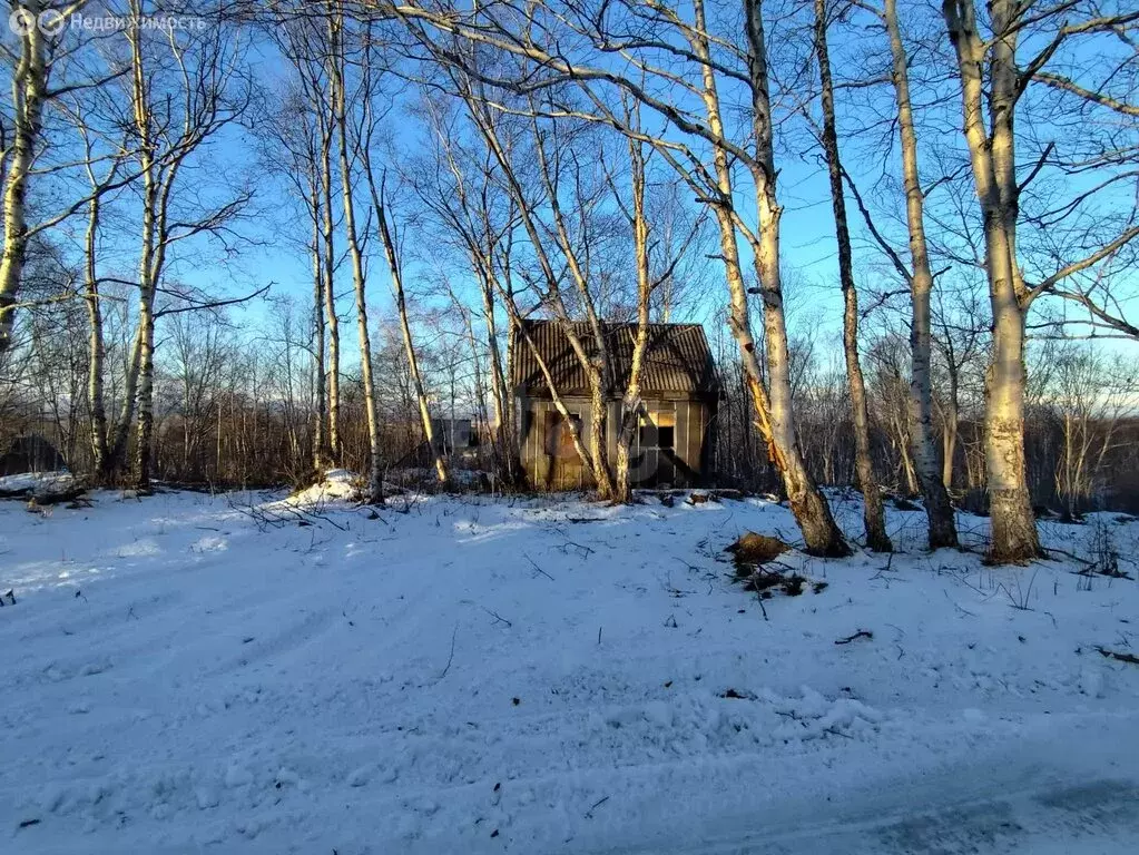 Дом в Камчатский край, Елизовский муниципальный округ, посёлок ... - Фото 1