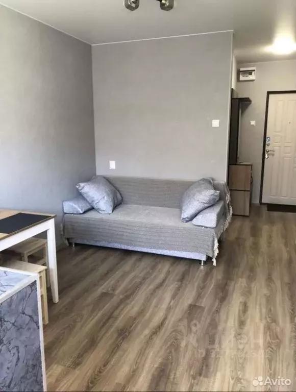 1-к кв. Краснодарский край, Сочи городской округ, Дагомыс пгт ш. ... - Фото 2