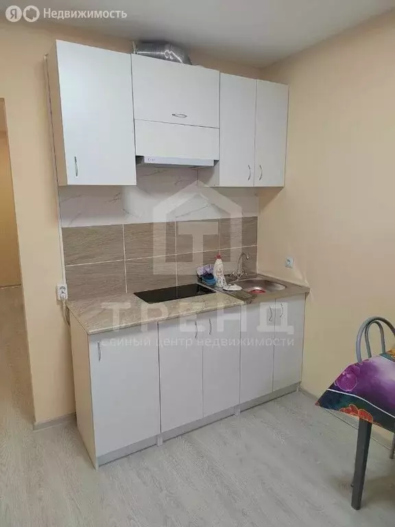 Квартира-студия: посёлок Парголово, улица Архитектора Белова, 6к1 (28 ... - Фото 2