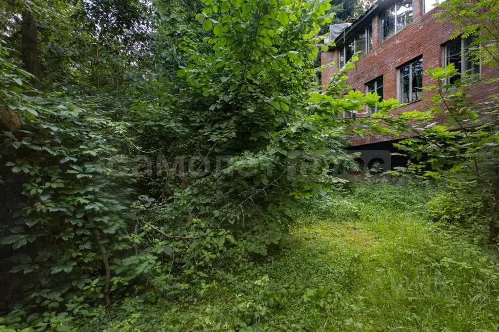 Участок в Московская область, Одинцовский городской округ, с. ... - Фото 1