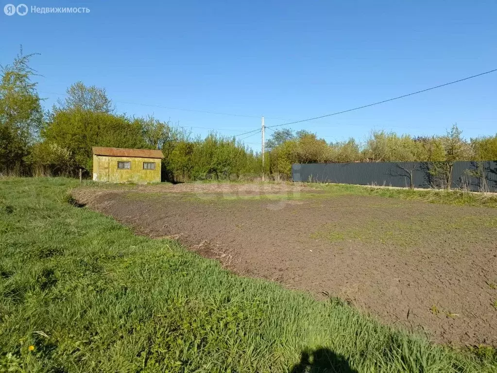 Участок в Толмачево, СДТ Русь (5.32 м) - Фото 0