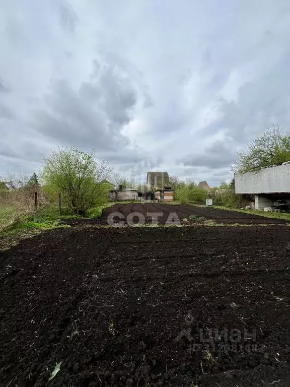 Участок в Воронежская область, Верхнехавский район, Малоприваловское ... - Фото 1