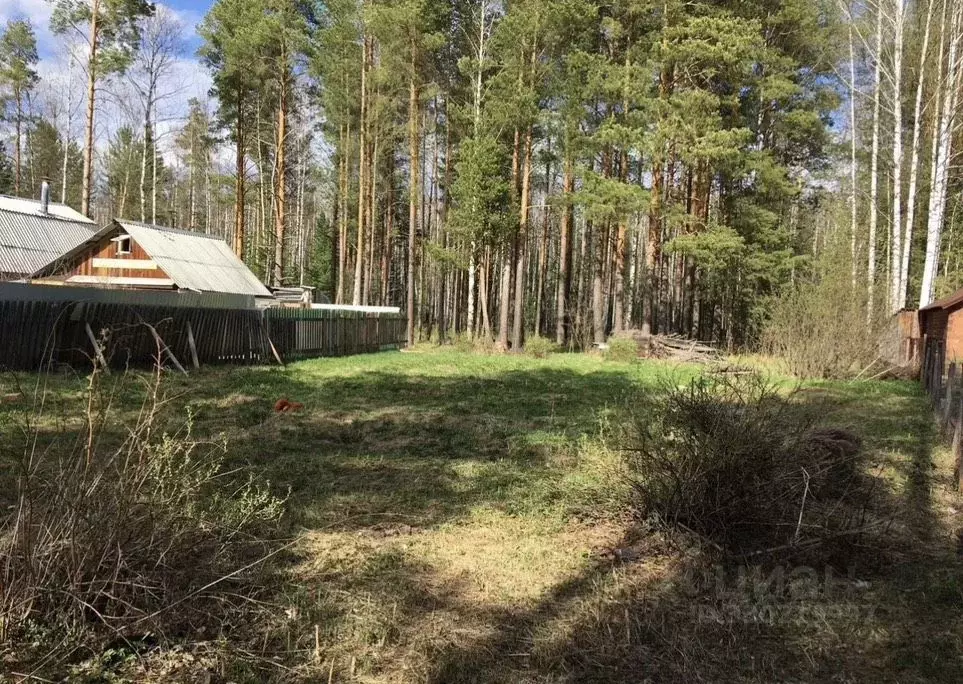 Участок в Новосибирская область, Искитимский район, с. Тальменка ул. ... - Фото 1