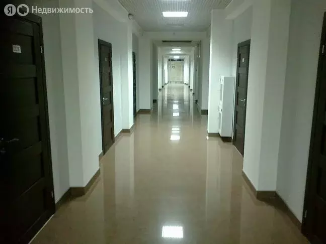 Офис (24.5 м) - Фото 1
