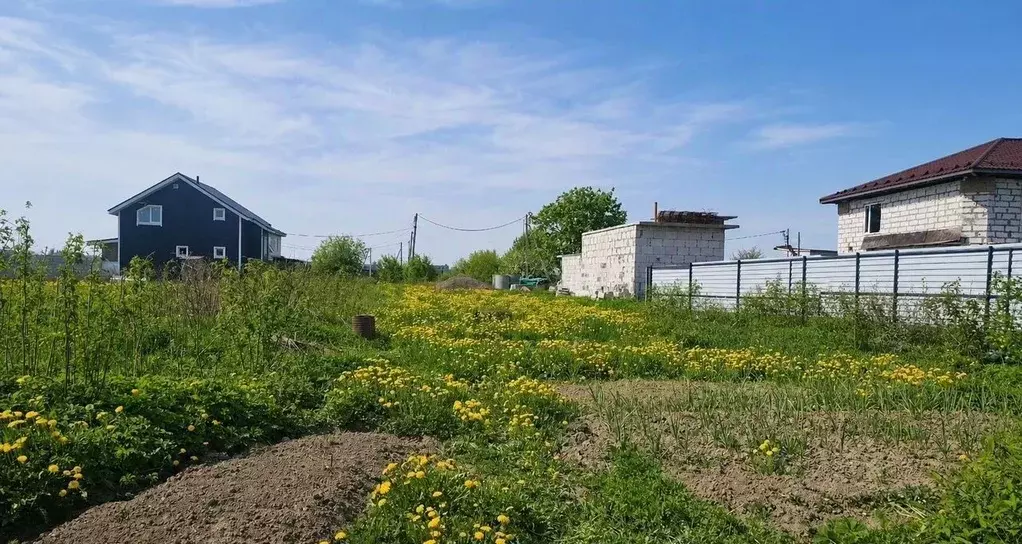Участок в Ленинградская область, Ломоносовский район, Русско-Высоцкое ... - Фото 2