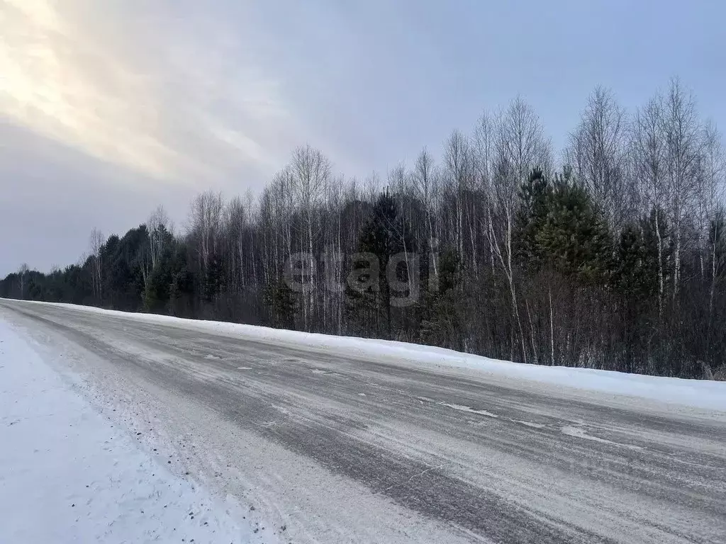 Участок в Тюменская область, Нижнетавдинский муниципальный округ, д. ... - Фото 1