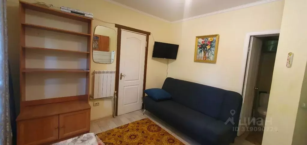 Студия Крым, Ялта ул. Киевская, 30 (20.0 м) - Фото 1